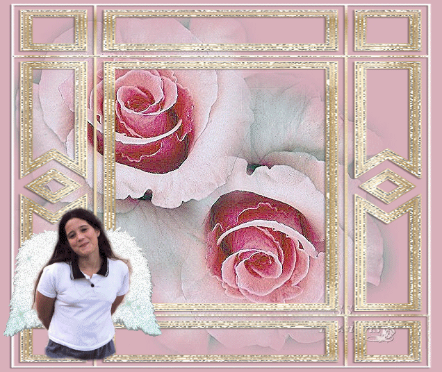 afpg12blankheader3.gif